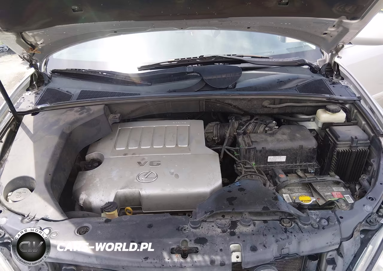 2007 Lexus Rx 350 VIN:2T2HK31UX7C039917 - 10