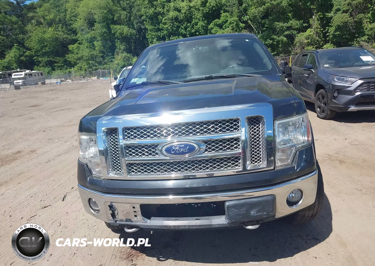2010 Ford F-150 Fx4-Harley-Davidson-King Ranch-Lariat-Platinum-Xl-Xlt VIN:1FTFW1EV5AFA45064 - 12