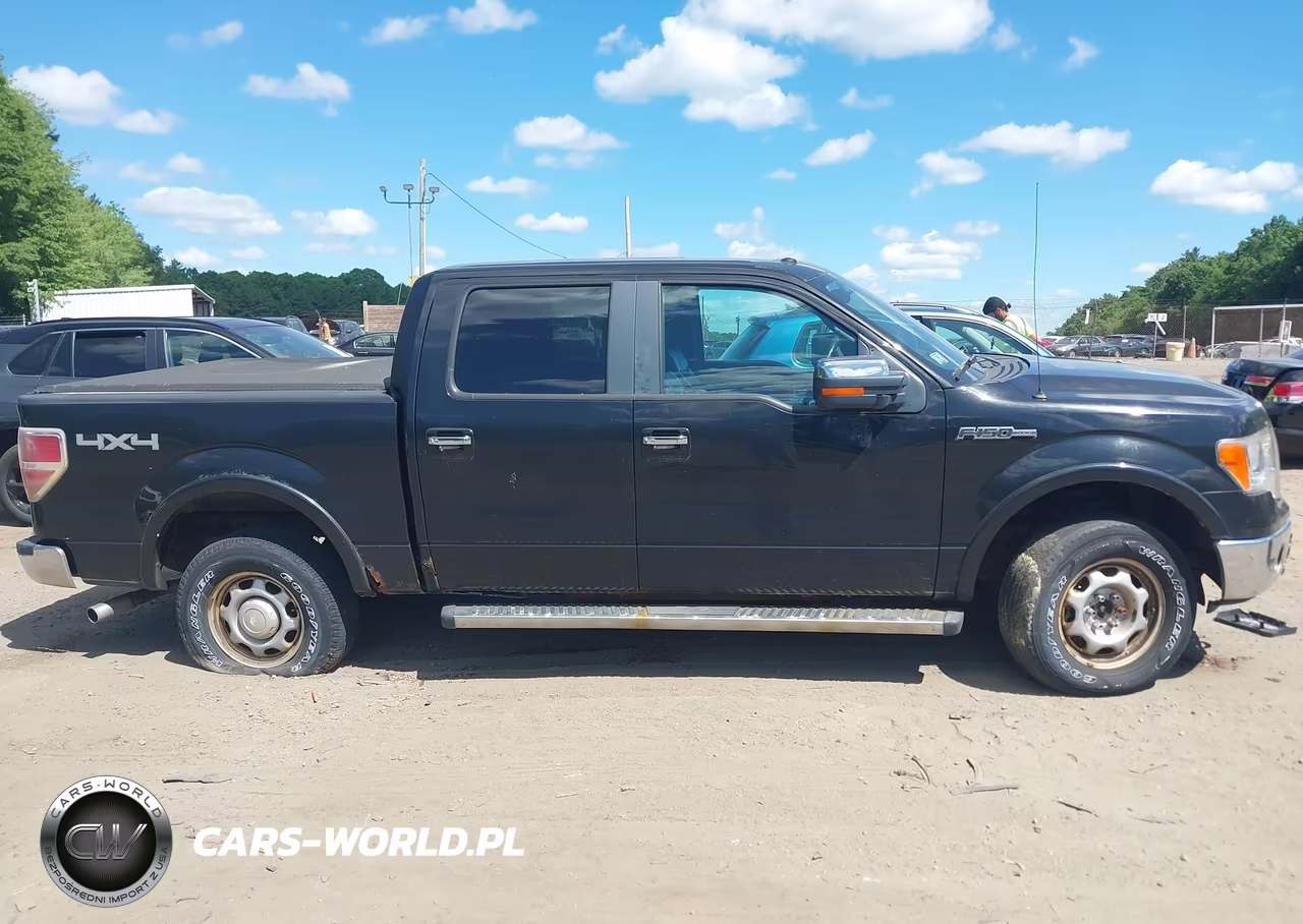 2010 Ford F-150 Fx4-Harley-Davidson-King Ranch-Lariat-Platinum-Xl-Xlt VIN:1FTFW1EV5AFA45064 - 13