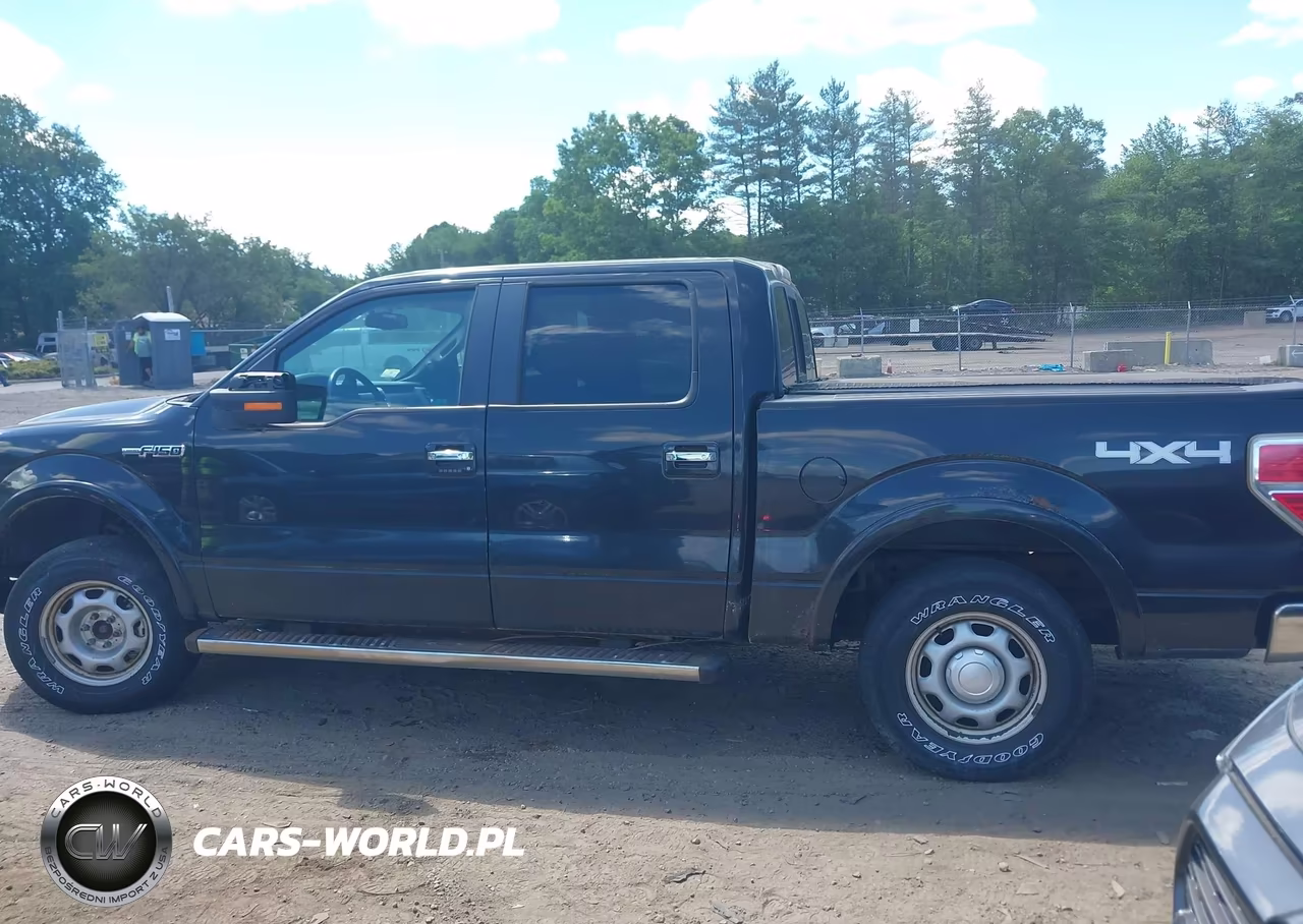 2010 Ford F-150 Fx4-Harley-Davidson-King Ranch-Lariat-Platinum-Xl-Xlt VIN:1FTFW1EV5AFA45064 - 14
