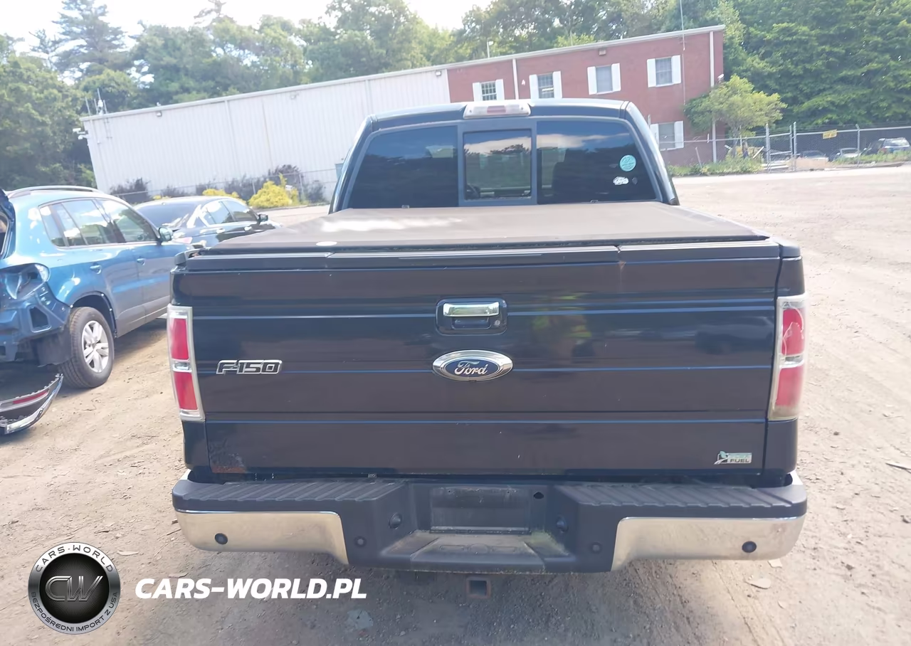 2010 Ford F-150 Fx4-Harley-Davidson-King Ranch-Lariat-Platinum-Xl-Xlt VIN:1FTFW1EV5AFA45064 - 16