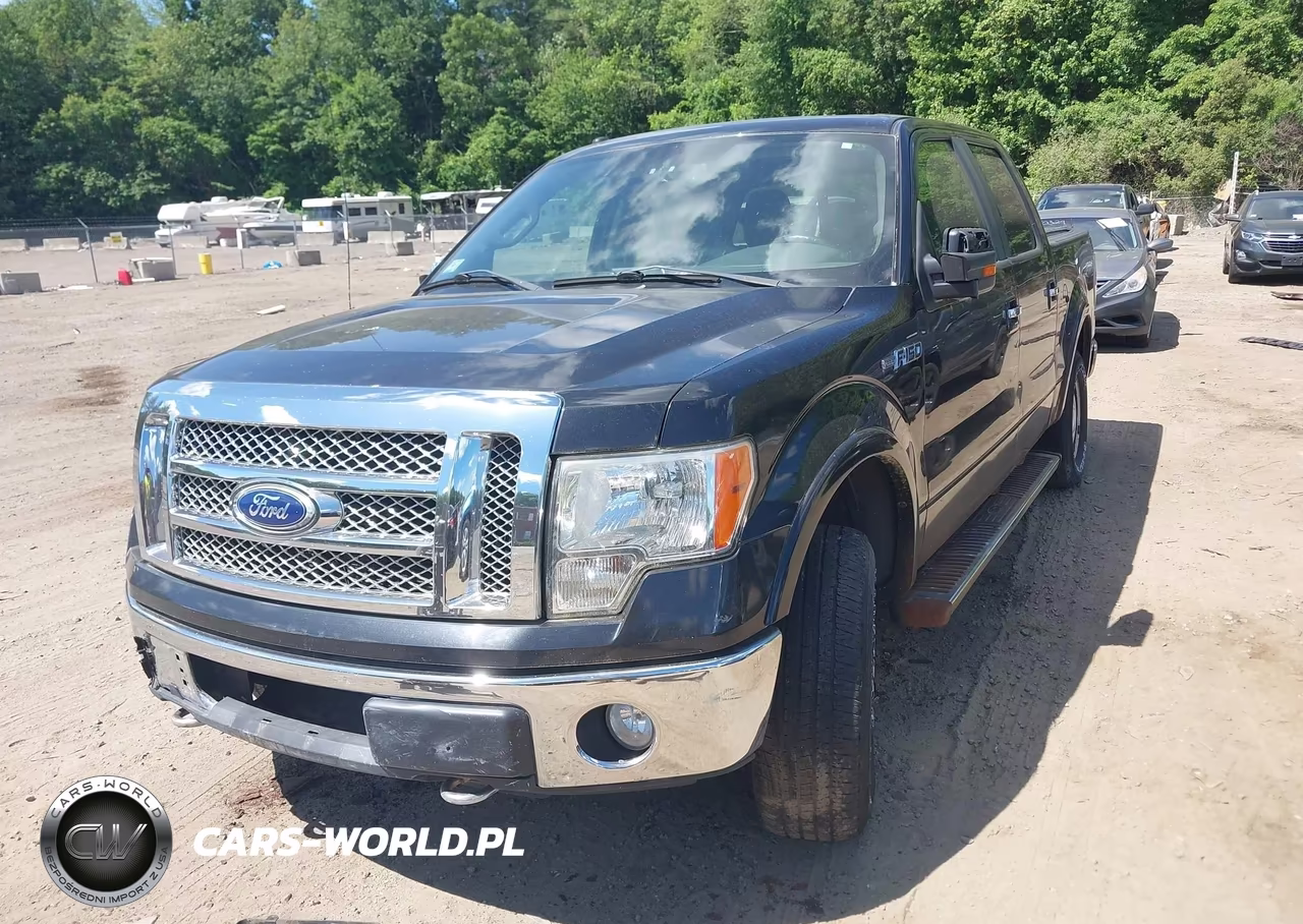 2010 Ford F-150 Fx4-Harley-Davidson-King Ranch-Lariat-Platinum-Xl-Xlt VIN:1FTFW1EV5AFA45064 - 2