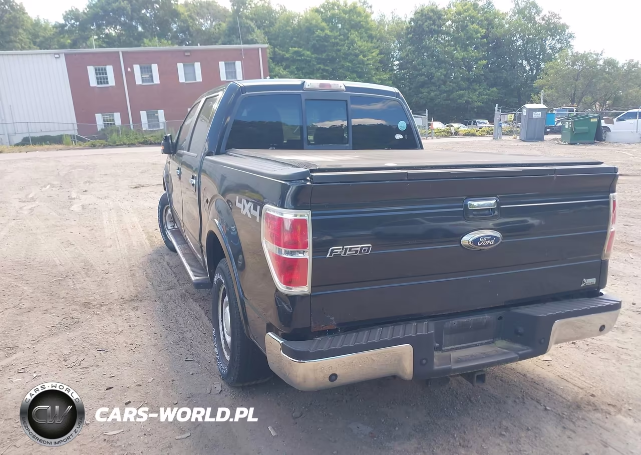 2010 Ford F-150 Fx4-Harley-Davidson-King Ranch-Lariat-Platinum-Xl-Xlt VIN:1FTFW1EV5AFA45064 - 3