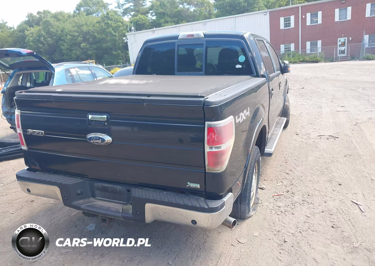 2010 Ford F-150 Fx4-Harley-Davidson-King Ranch-Lariat-Platinum-Xl-Xlt VIN:1FTFW1EV5AFA45064 - 4