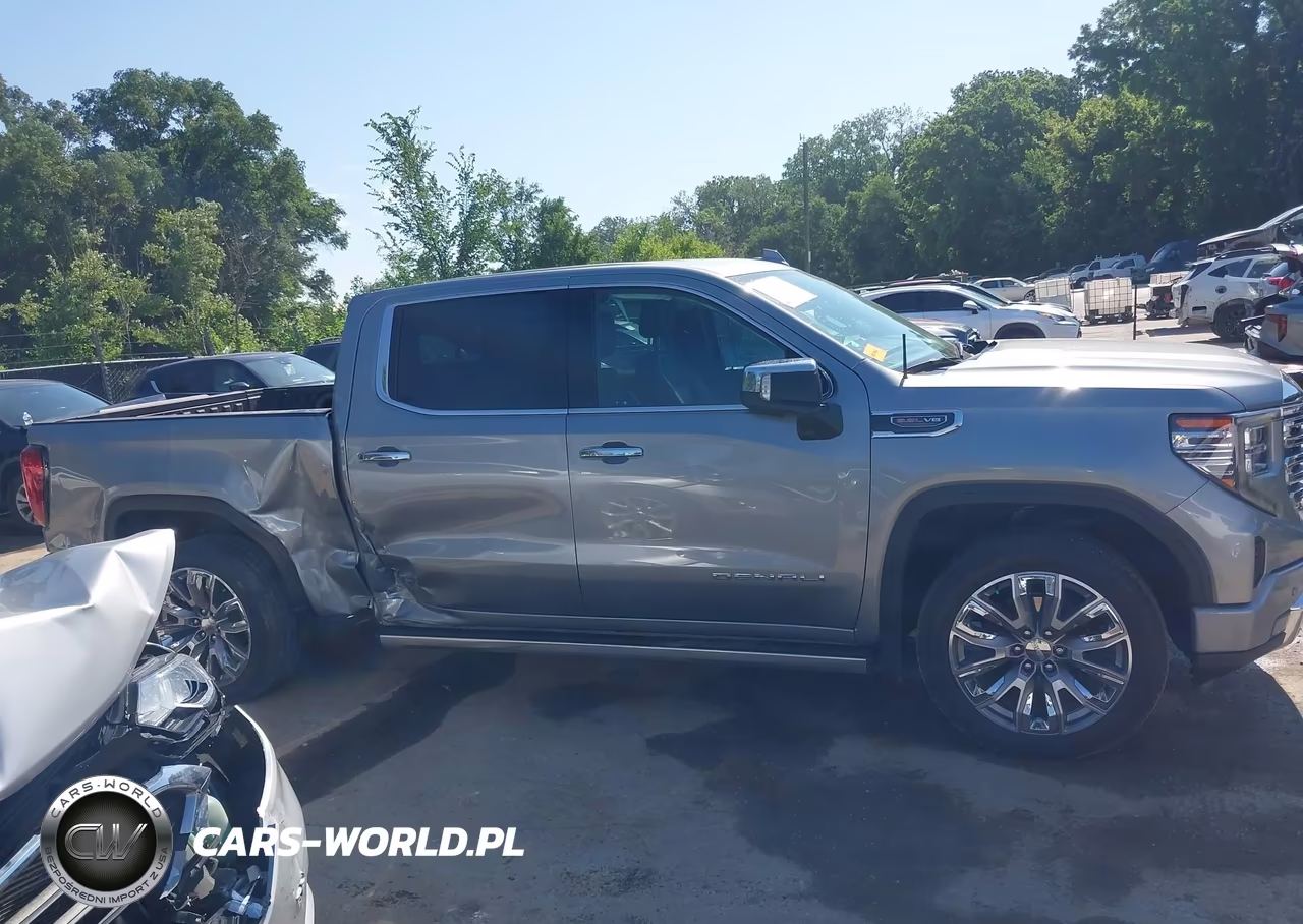 2023 GMC Sierra 1500 4Wd Short Box Denali VIN:1GTUUGEL2PZ260097 - 13