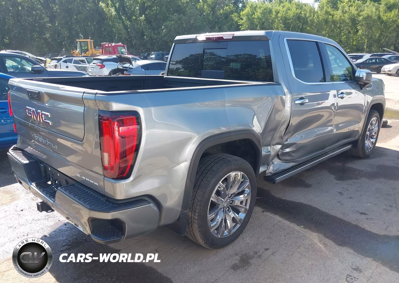 2023 GMC Sierra 1500 4Wd Short Box Denali VIN:1GTUUGEL2PZ260097 - 4