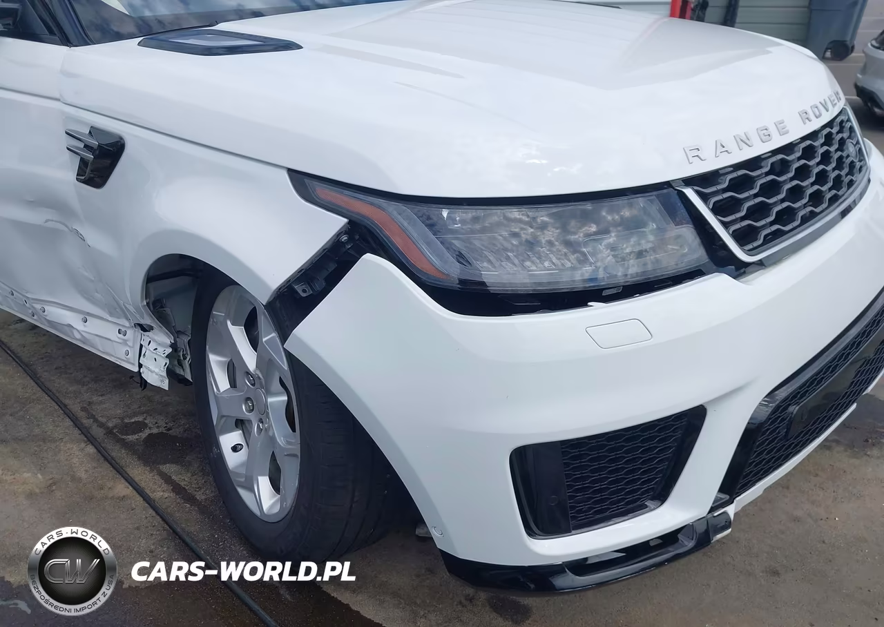 2020 Land Rover Range Rover Sport Hse Mhev VIN:SALWR2SU4LA737785 - 21
