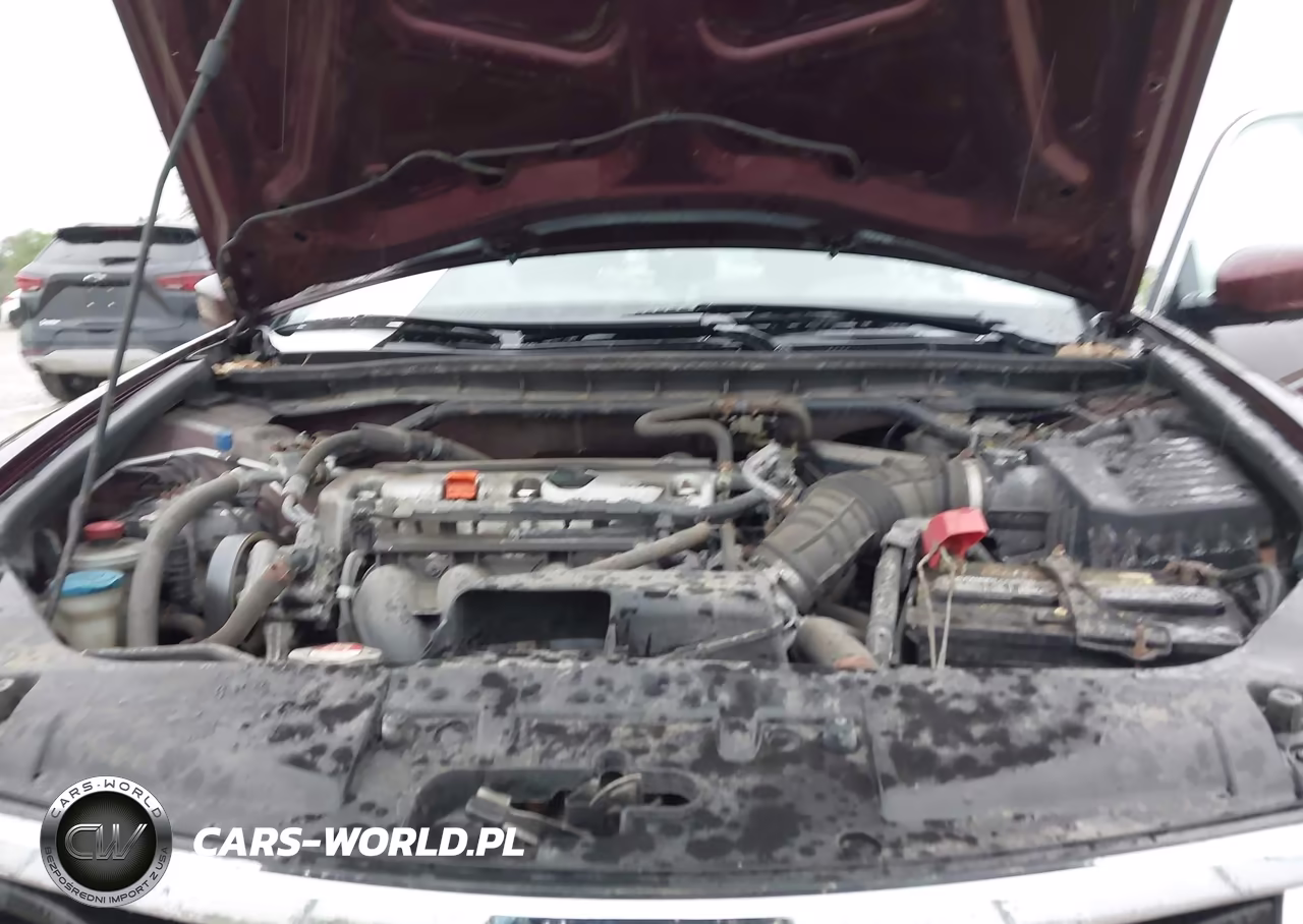 2010 Honda Accord 2.4 Ex-L VIN:1HGCP2F89AA094037 - 10