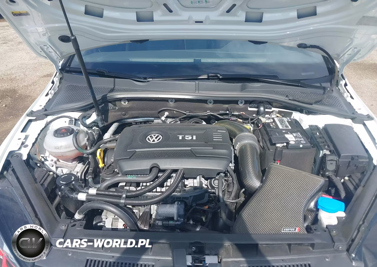 2019 Volkswagen Golf Gti 2.0T Autobahn-2.0T Rabbit Edition-2.0T S-2.0T Se VIN:3VW6T7AU4KM024570 - 10