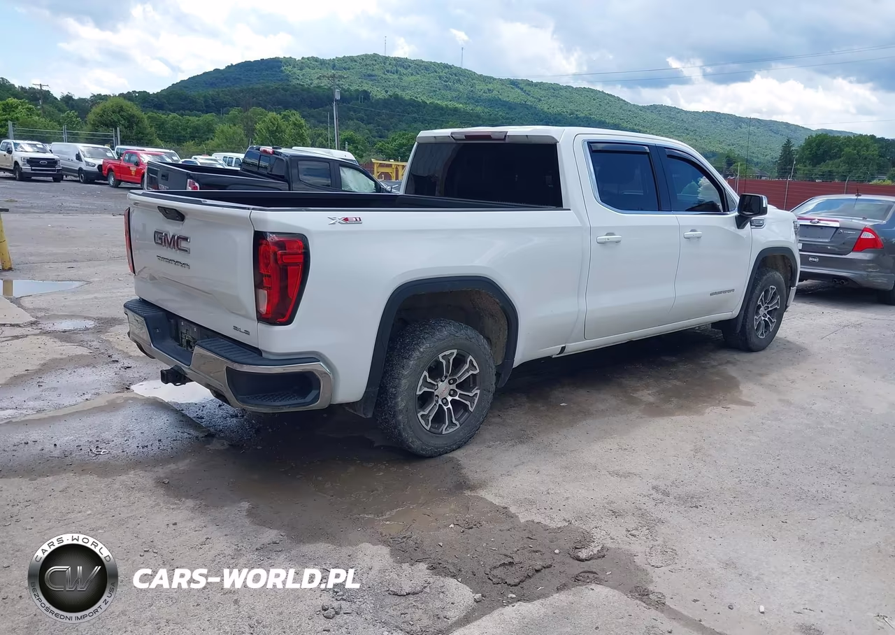 2020 GMC Sierra 1500 Sle VIN:1GTU9BED6LZ228499 - 4