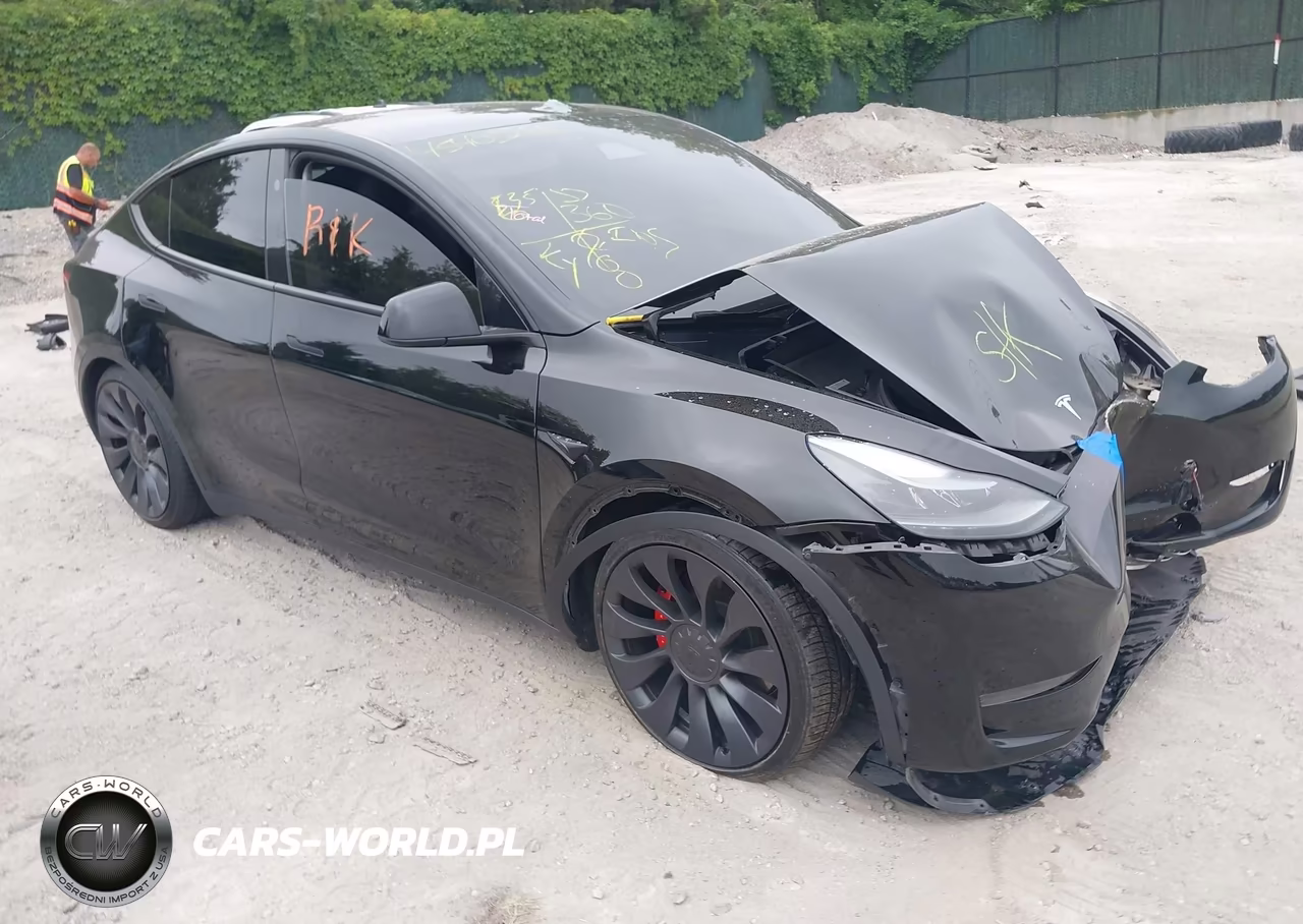 2024 Tesla Model Y Performance Dual Motor All-Wheel Drive