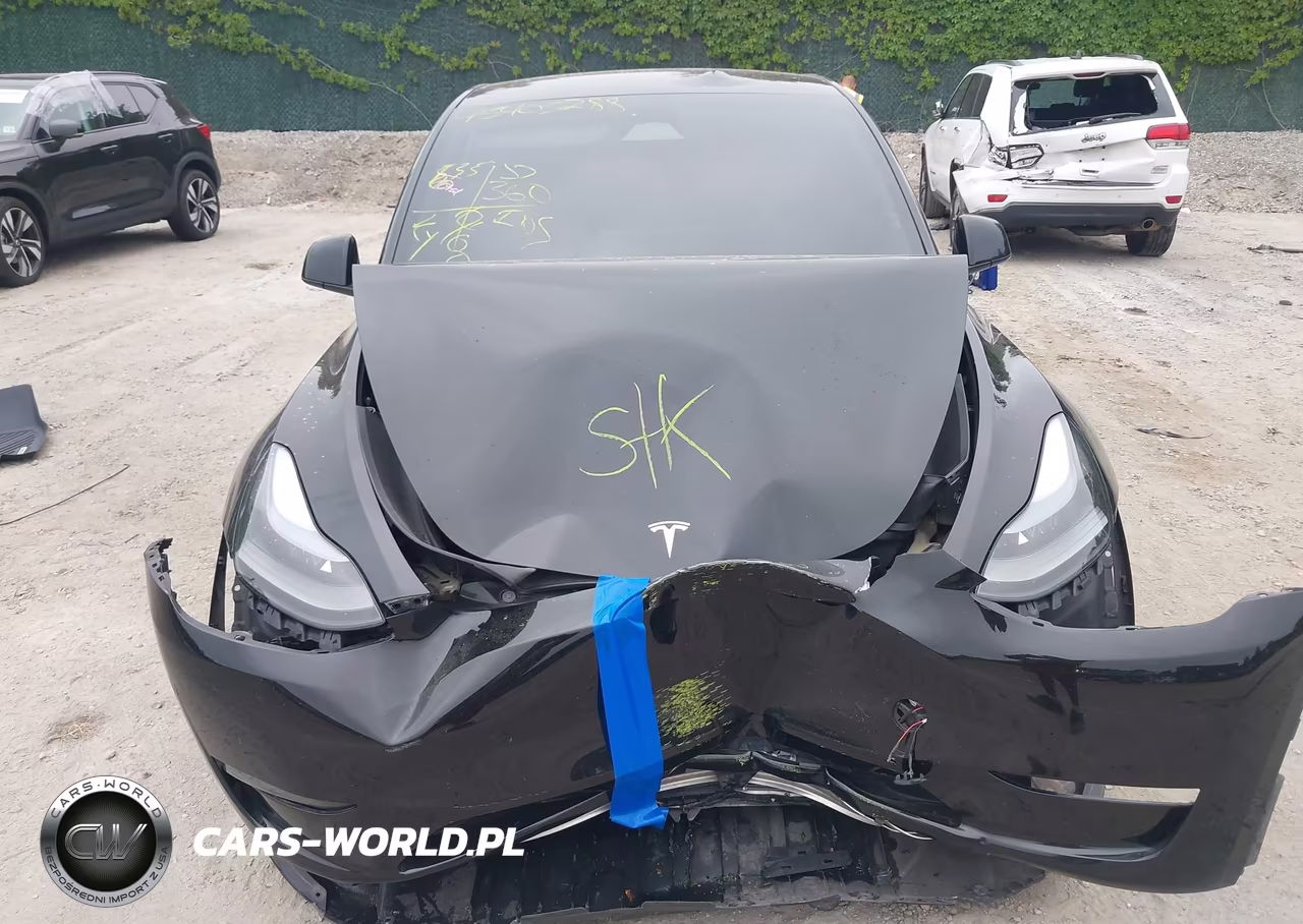 2024 Tesla Model Y Performance Dual Motor All-Wheel Drive VIN:7SAYGDEF8RF043182 - 11