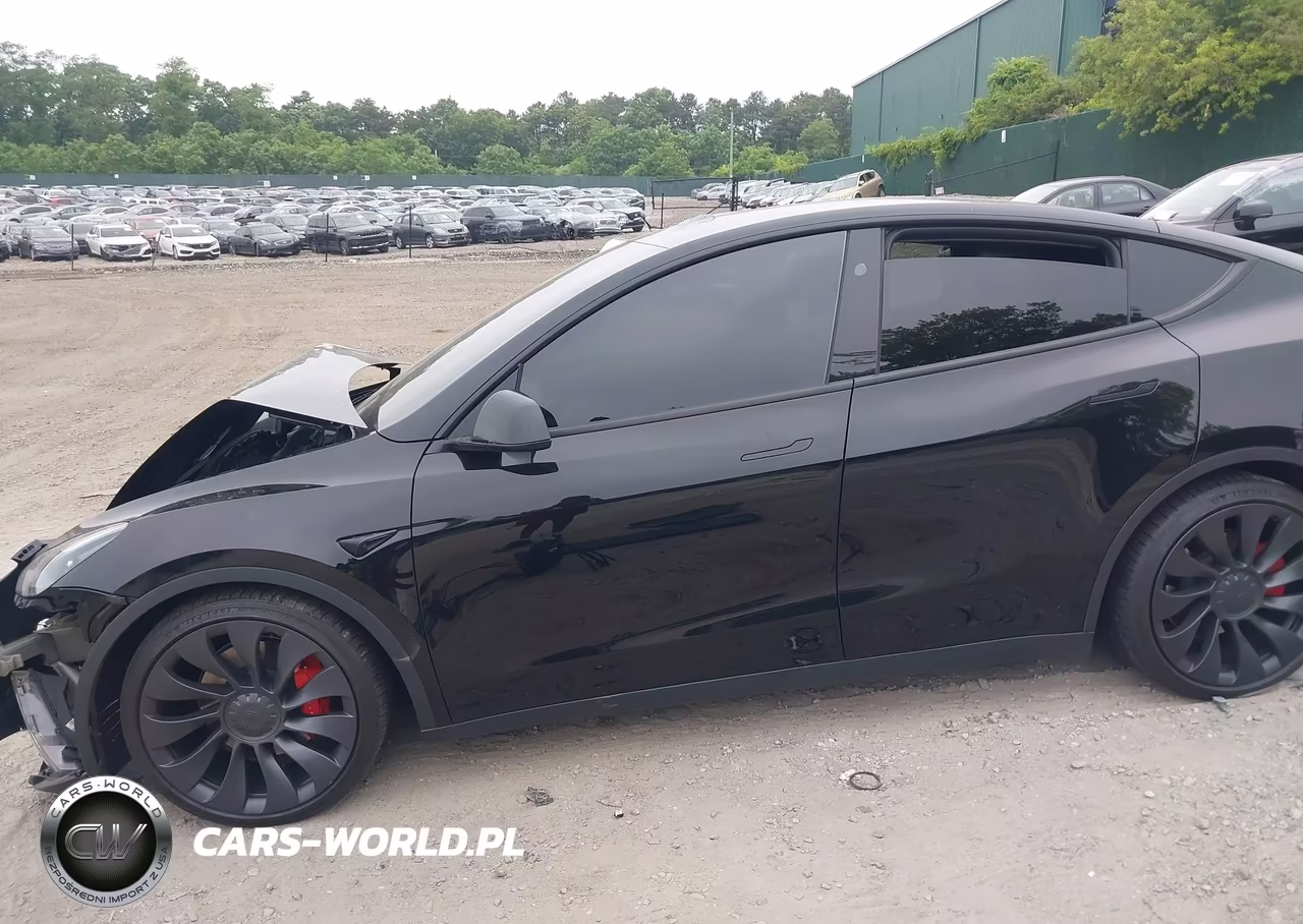 2024 Tesla Model Y Performance Dual Motor All-Wheel Drive VIN:7SAYGDEF8RF043182 - 13