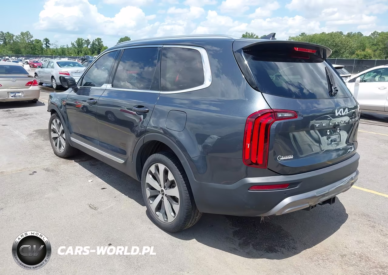 2022 Kia Telluride Ex VIN:5XYP34HCXNG314963 - 3