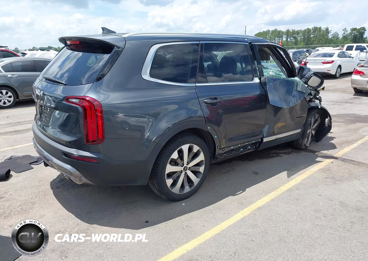 2022 Kia Telluride Ex VIN:5XYP34HCXNG314963 - 4