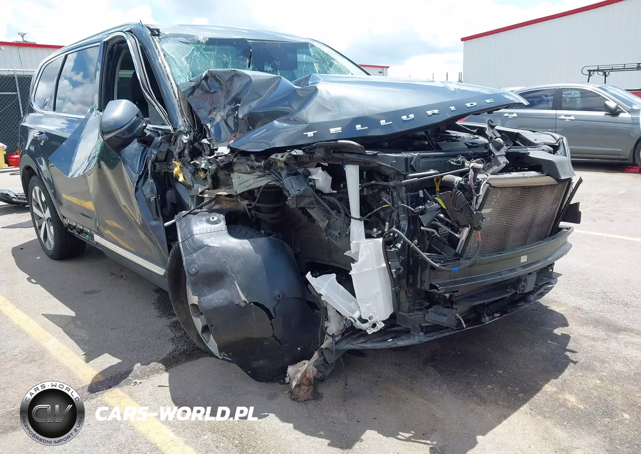 2022 Kia Telluride Ex VIN:5XYP34HCXNG314963 - 6