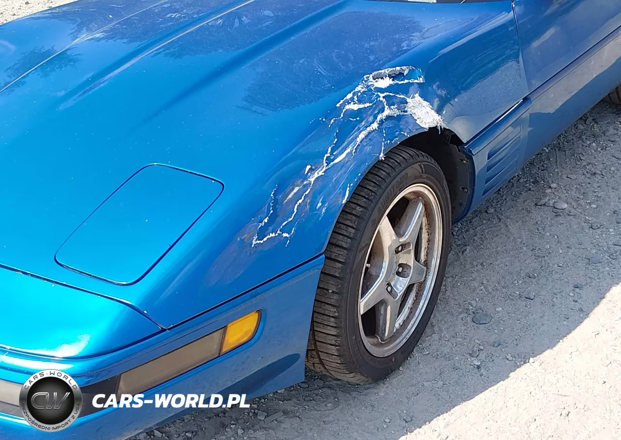 1991 Chevrolet Corvette VIN:1G1YY2387M5107816 - 12