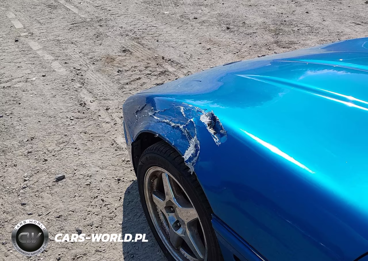 1991 Chevrolet Corvette VIN:1G1YY2387M5107816 - 13
