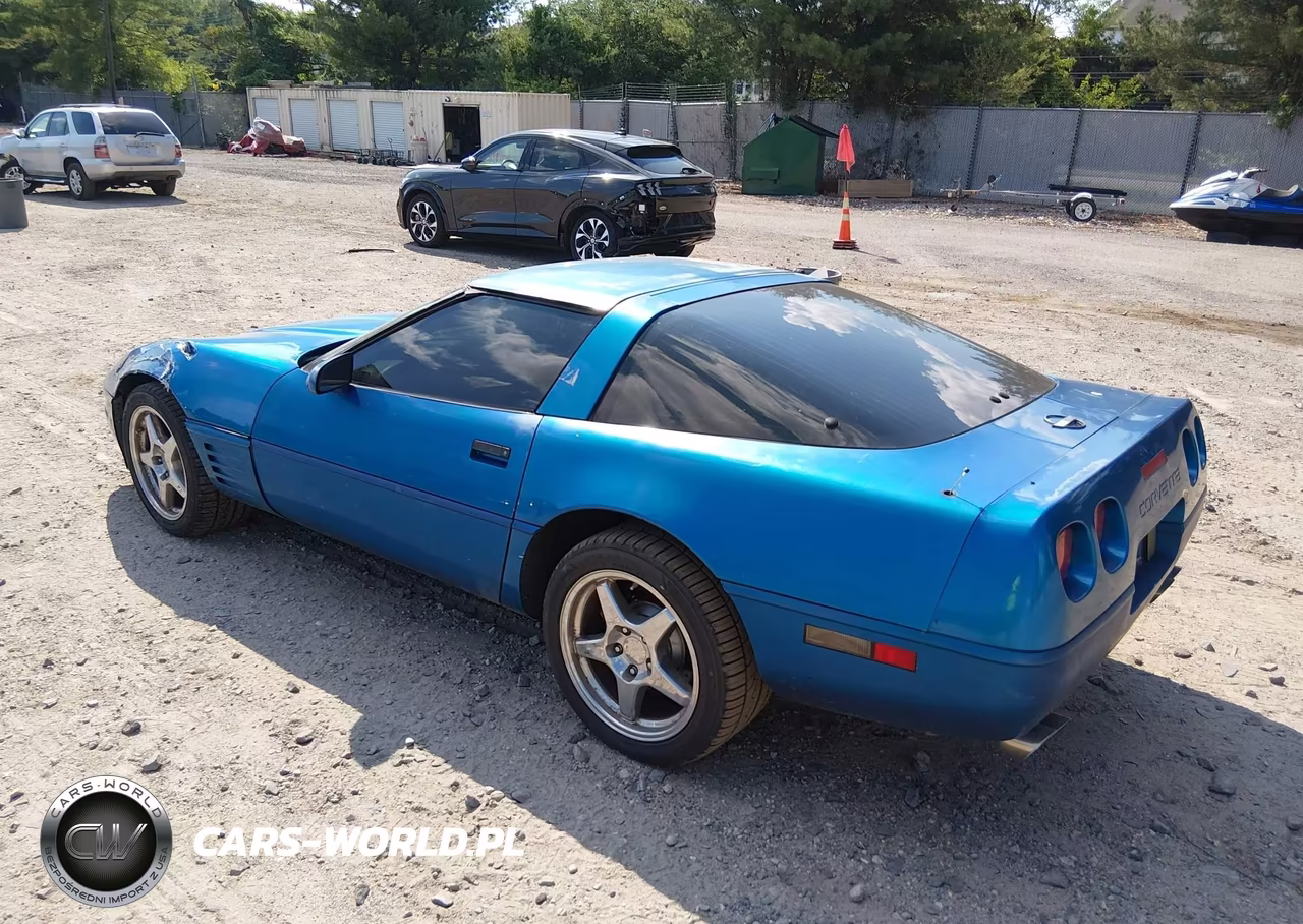 1991 Chevrolet Corvette VIN:1G1YY2387M5107816 - 3