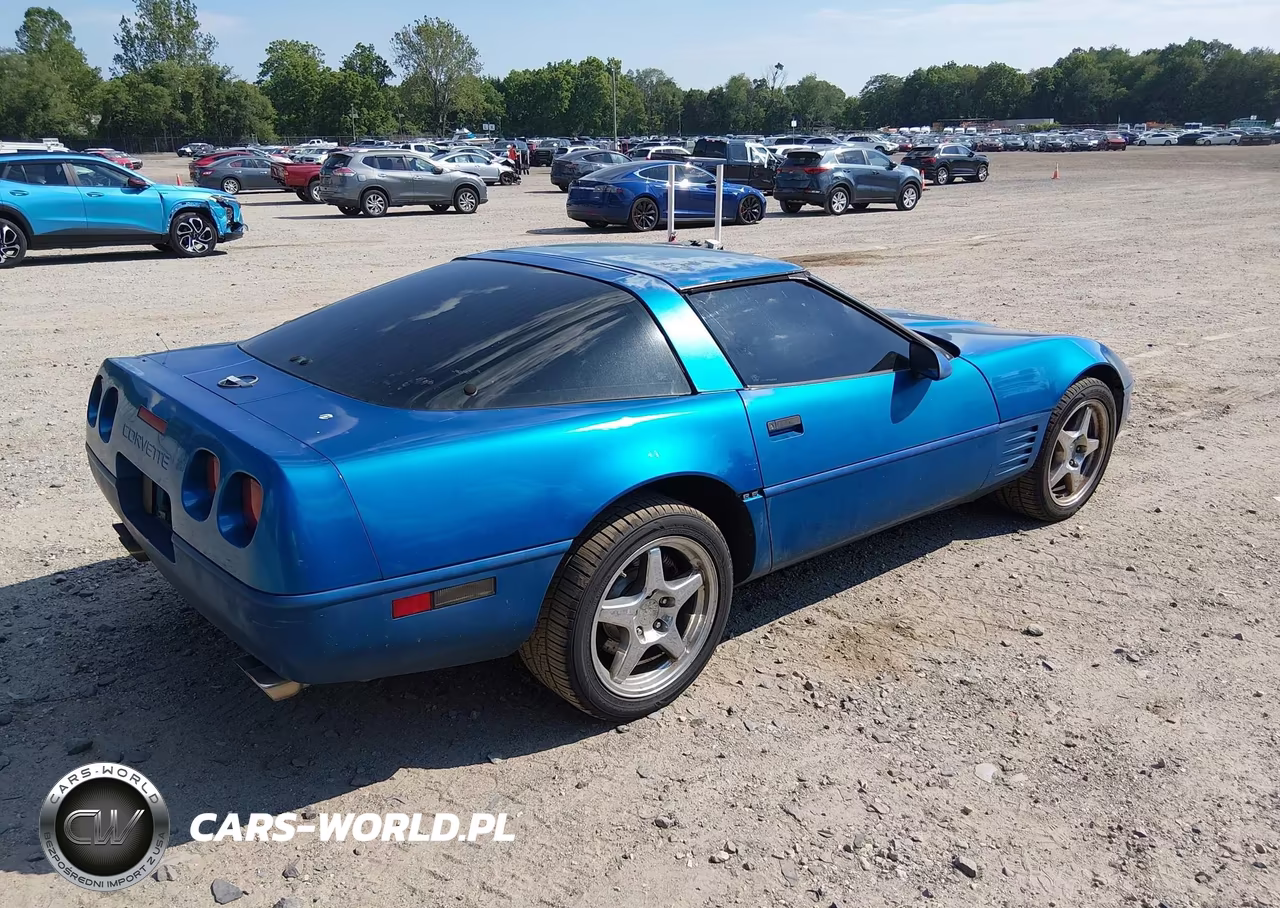 1991 Chevrolet Corvette VIN:1G1YY2387M5107816 - 4
