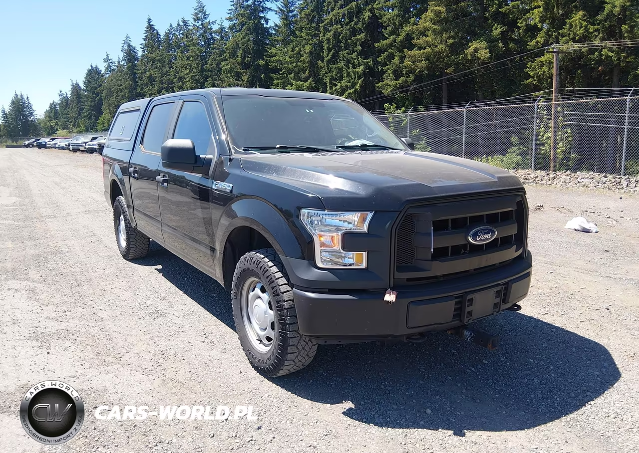2017 Ford F-150 Xl – zdjęcie 1 z 16