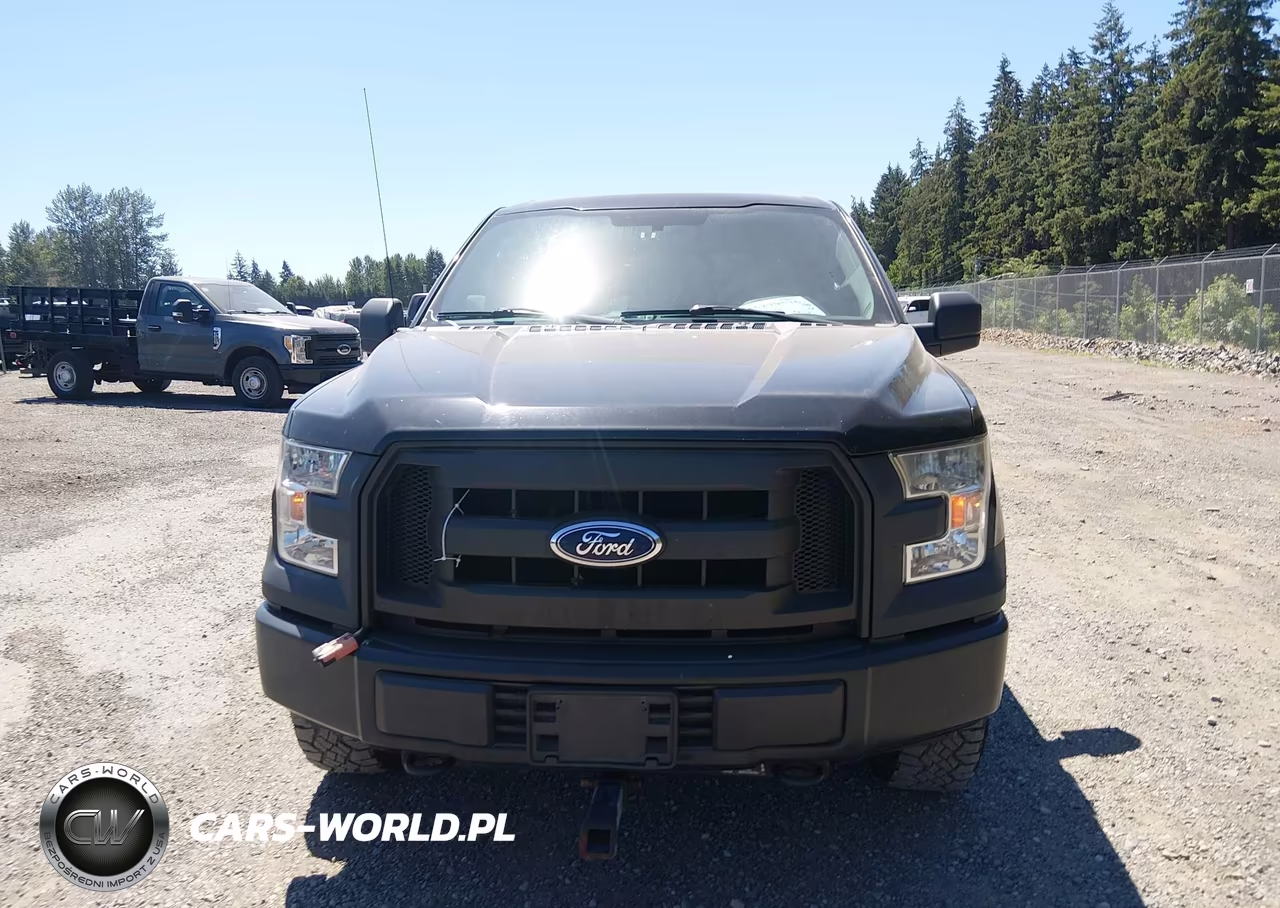 2017 Ford F-150 Xl VIN:1FTEW1E8XHKE26318 - 12