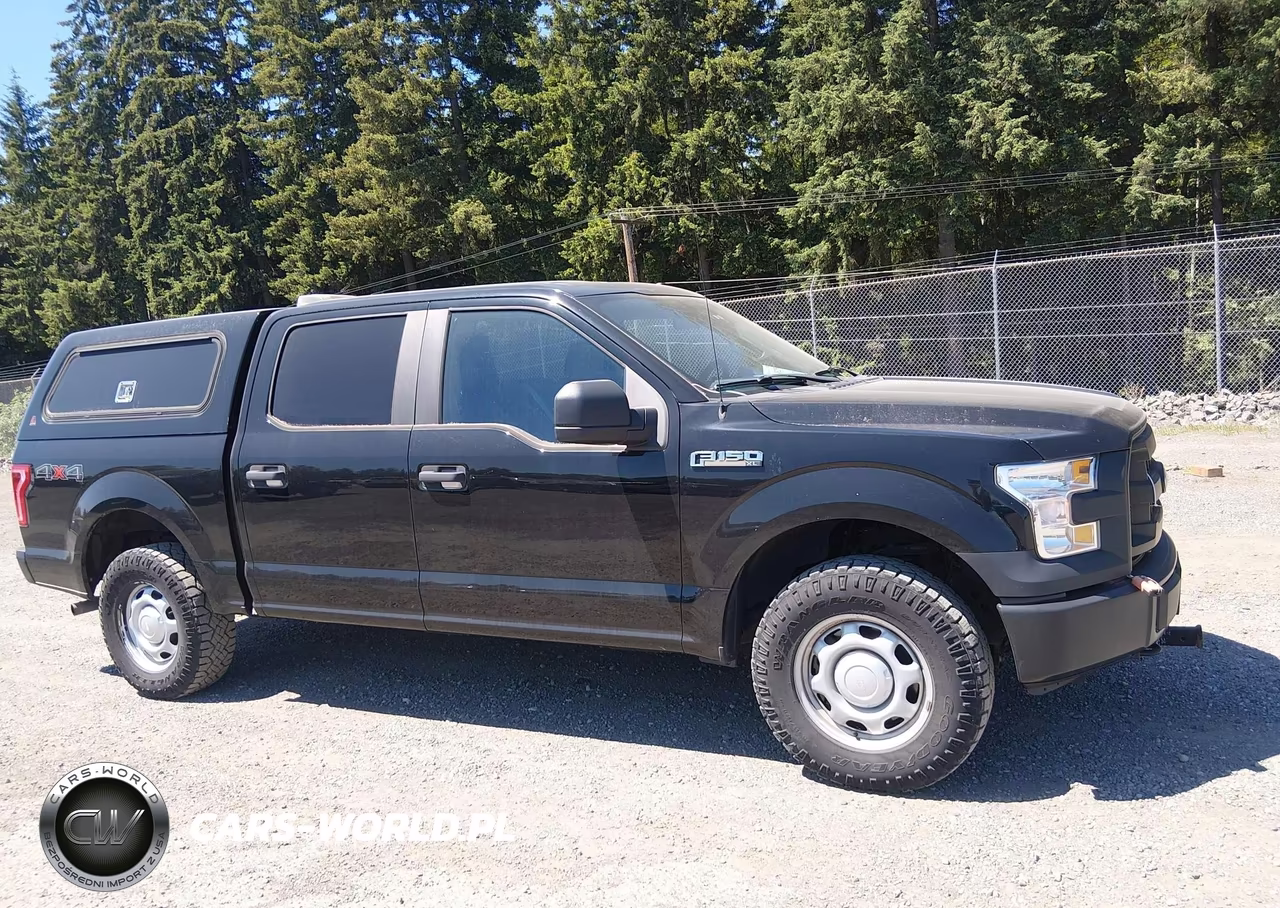2017 Ford F-150 Xl VIN:1FTEW1E8XHKE26318 - 13