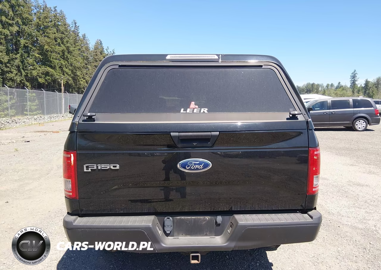 2017 Ford F-150 Xl VIN:1FTEW1E8XHKE26318 - 16