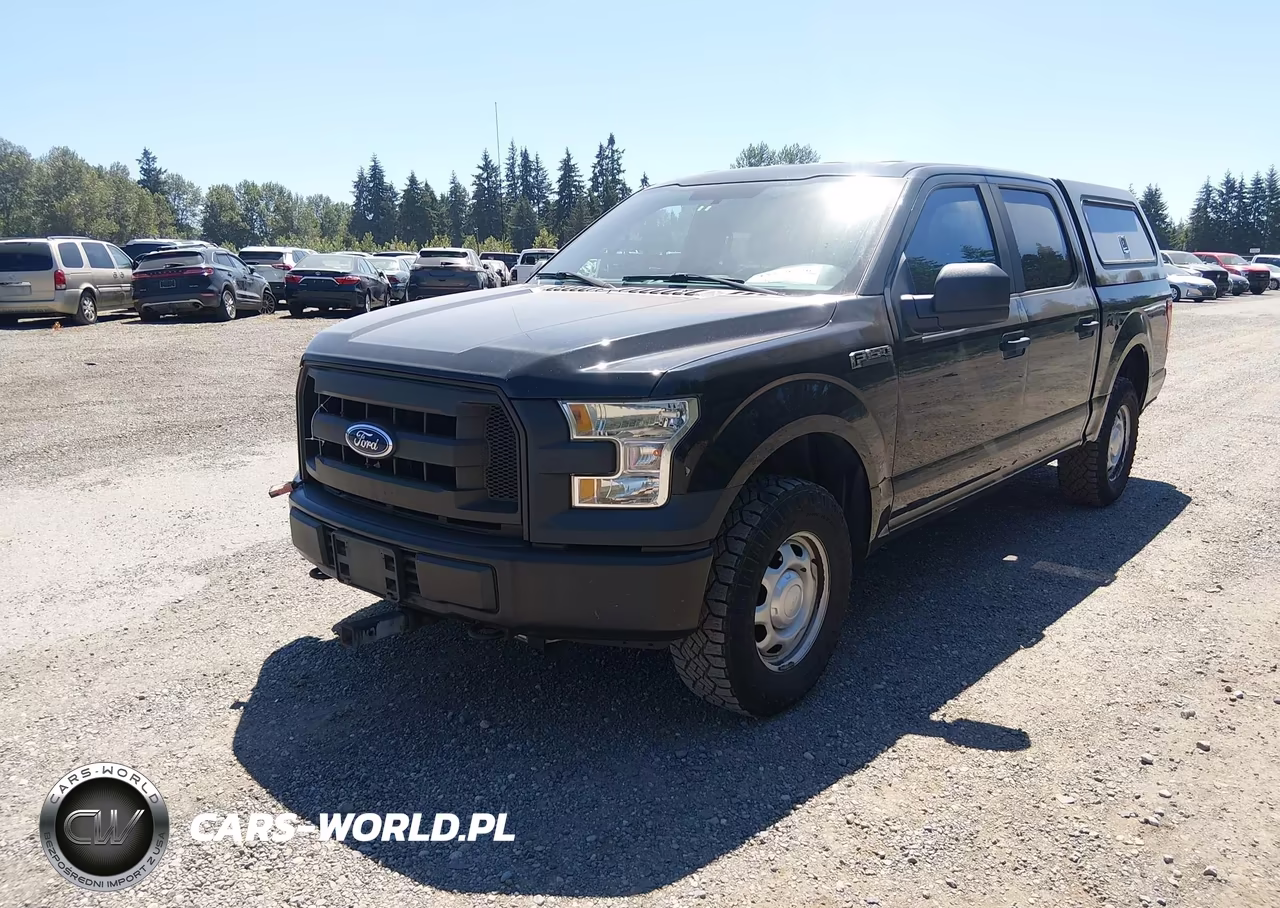 2017 Ford F-150 Xl VIN:1FTEW1E8XHKE26318 - 2