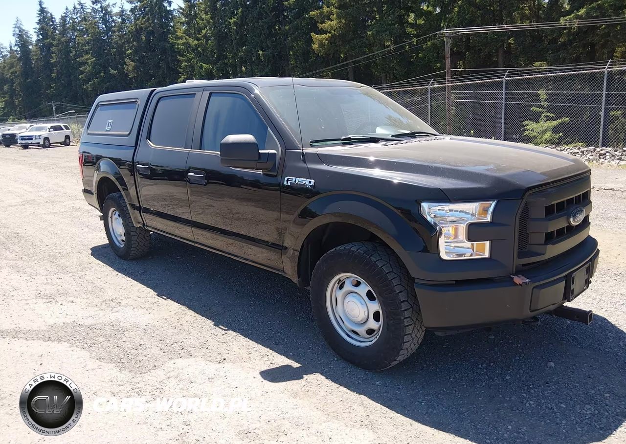 2017 Ford F-150 Xl – zdjęcie 1 z 16