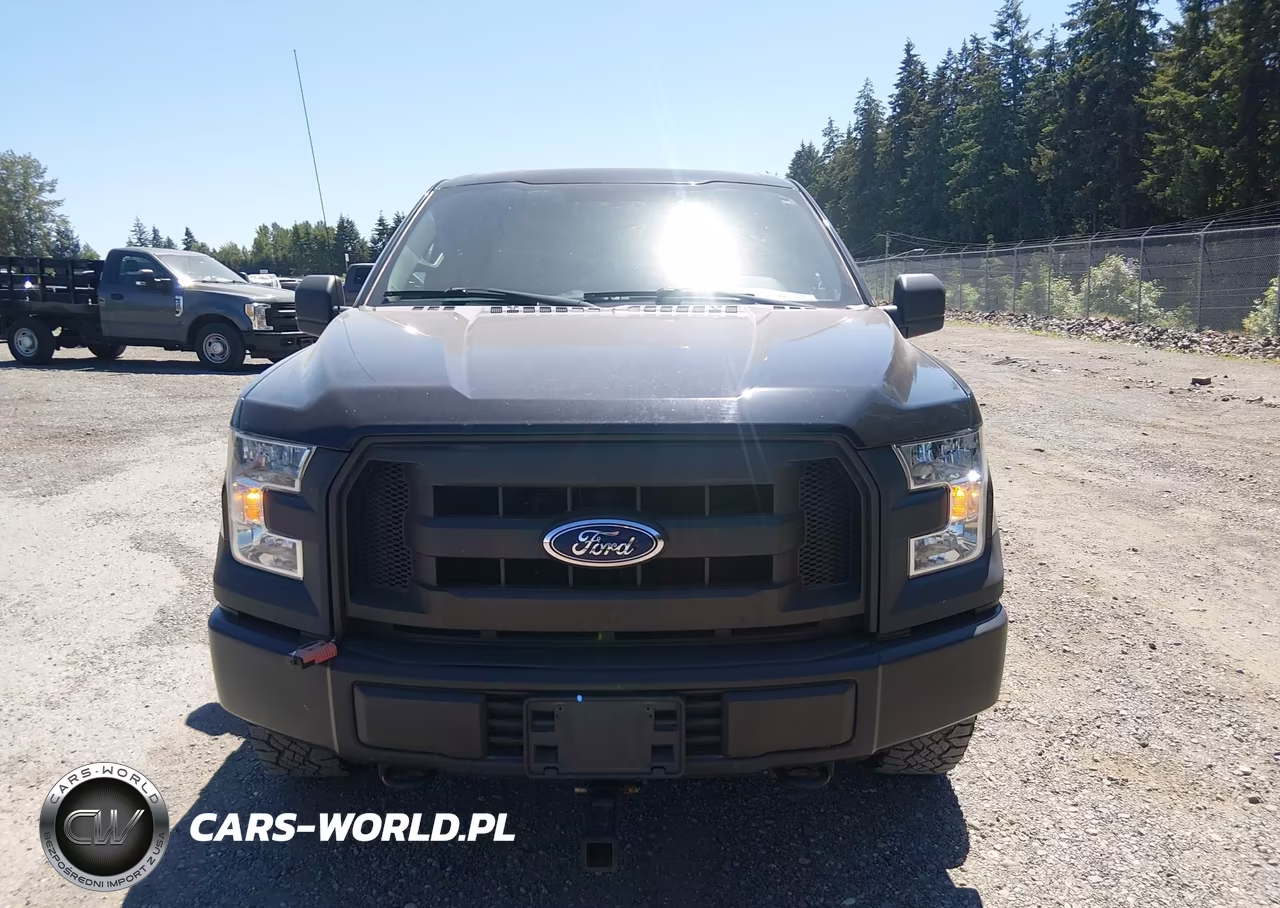 2017 Ford F-150 Xl VIN:1FTEW1E81HKE26319 - 12