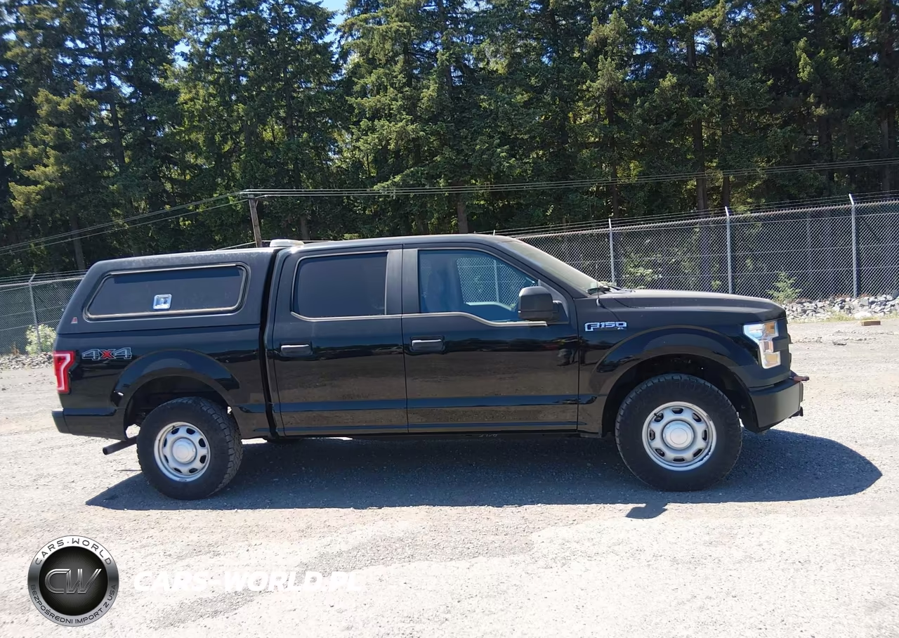 2017 Ford F-150 Xl VIN:1FTEW1E81HKE26319 - 13