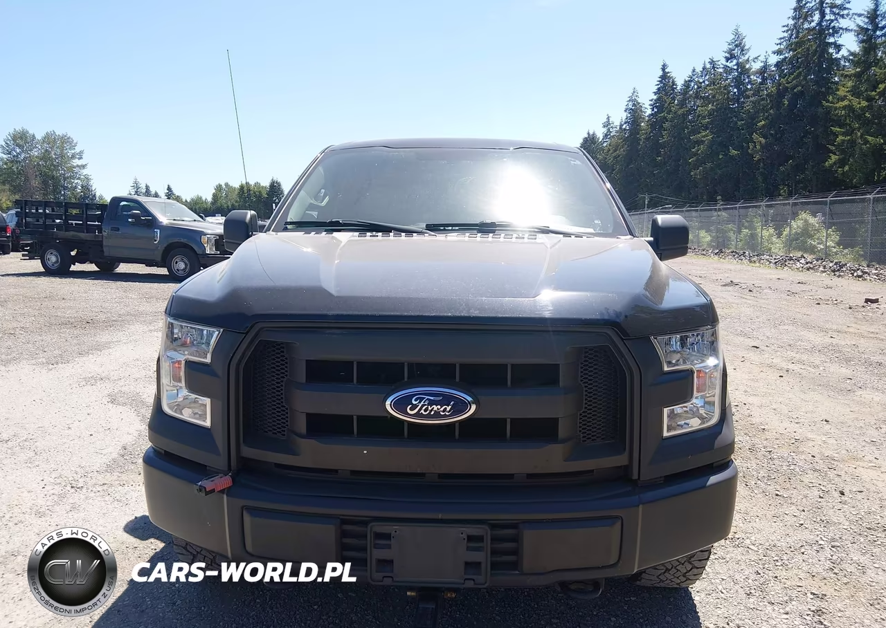 2017 Ford F-150 Xl VIN:1FTEW1E81HKE26319 - 6