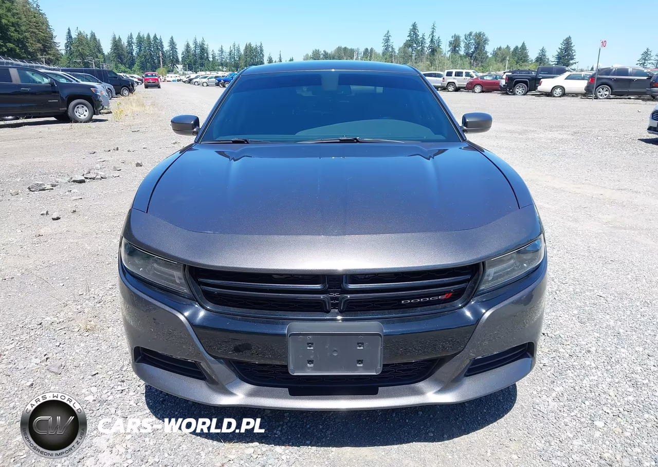 2020 Dodge Charger Sxt Awd VIN:2C3CDXJG0LH193549 - 14