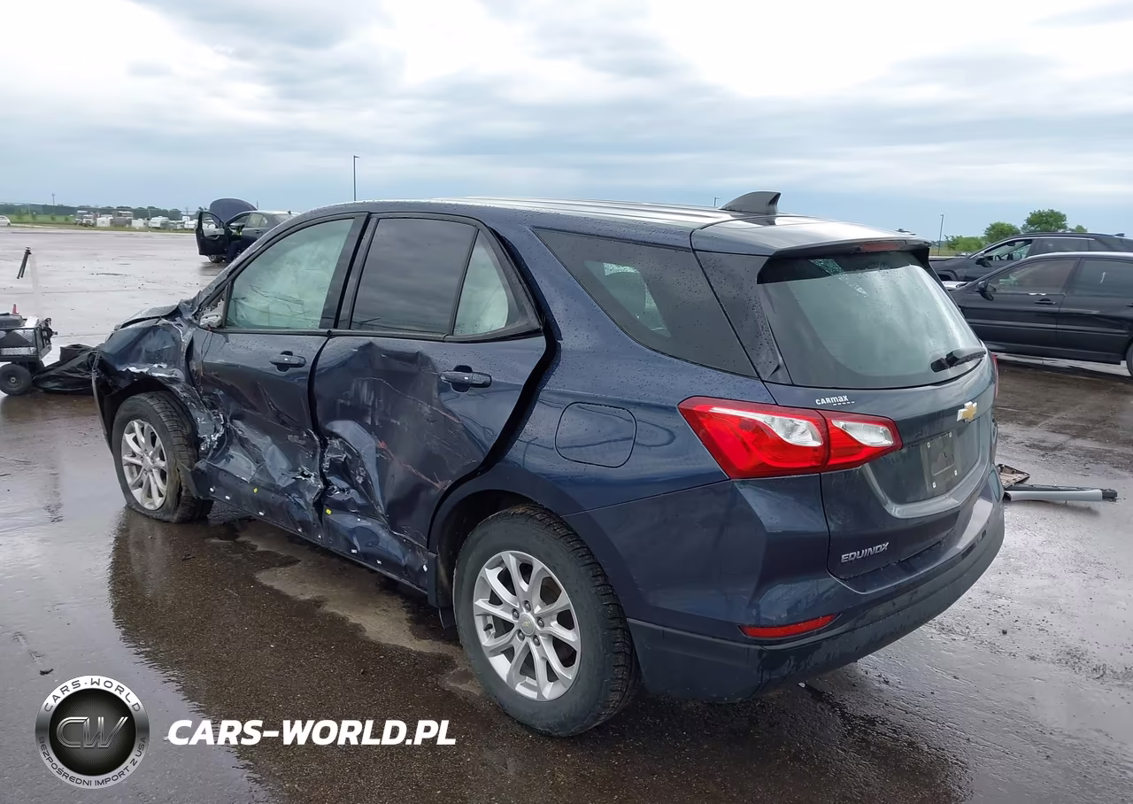 2019 Chevrolet Equinox Ls VIN:3GNAXSEV8KS536455 - 3