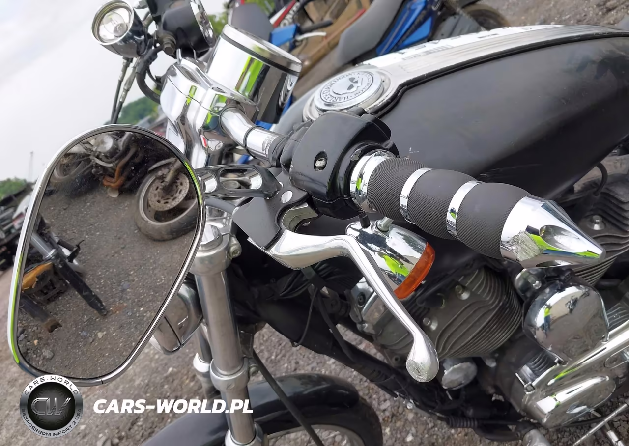 2006 Harley-Davidson Xl1200 C VIN:1HD1CGP1H6K419468 - 19