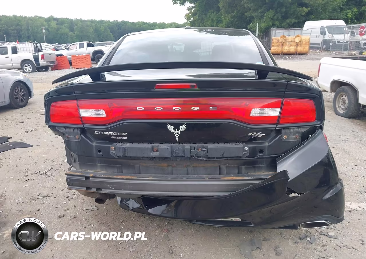 2014 Dodge Charger R-T VIN:2C3CDXDT7EH224176 - 16