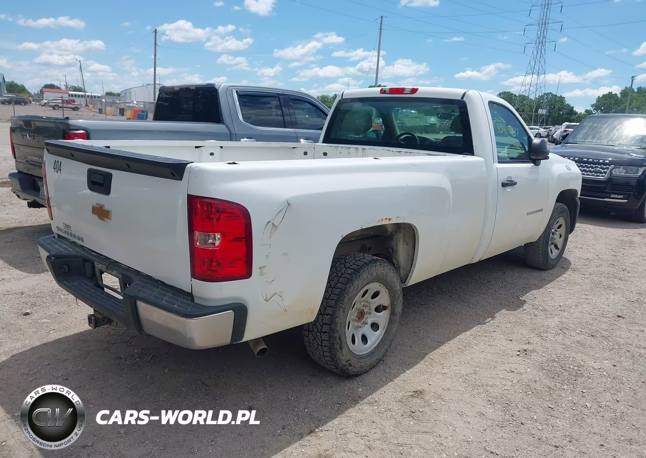 2013 Chevrolet Silverado 1500 Work Truck VIN:1GCNCPEX6DZ106028 - 4