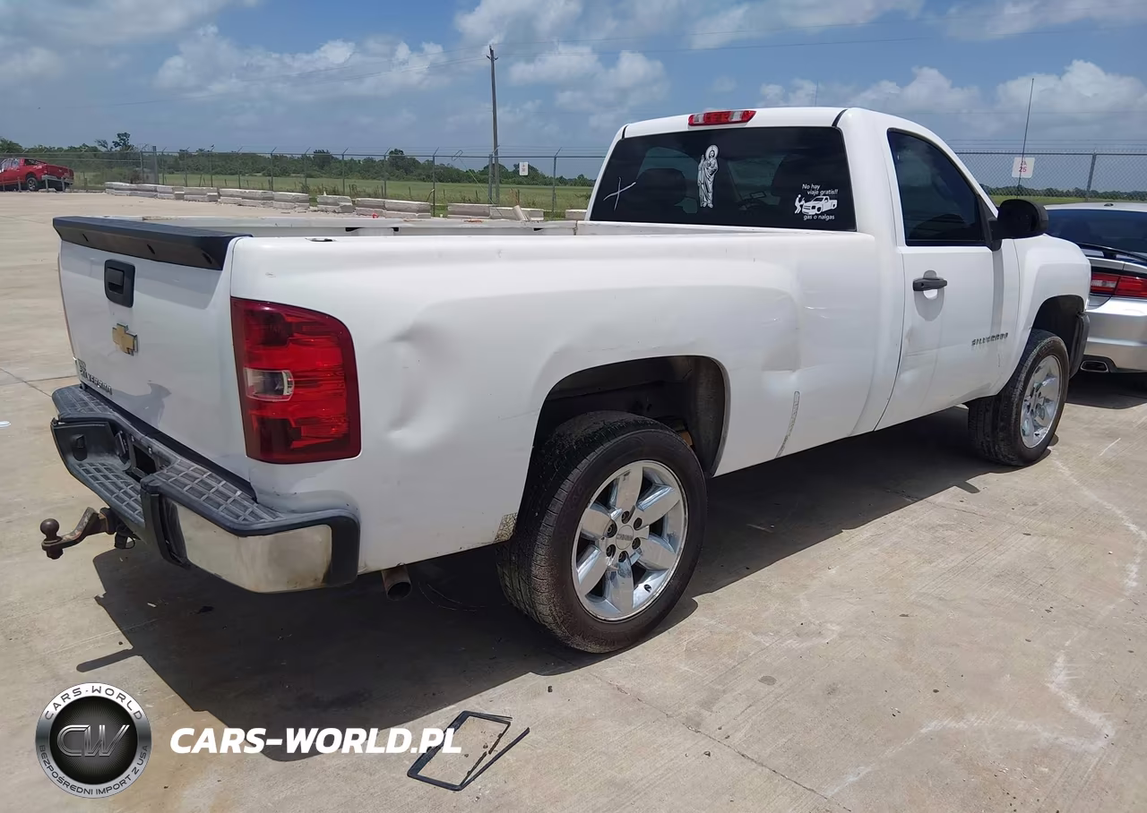 2011 Chevrolet Silverado 1500 Work Truck VIN:1GCNCPEX9BZ382314 - 4