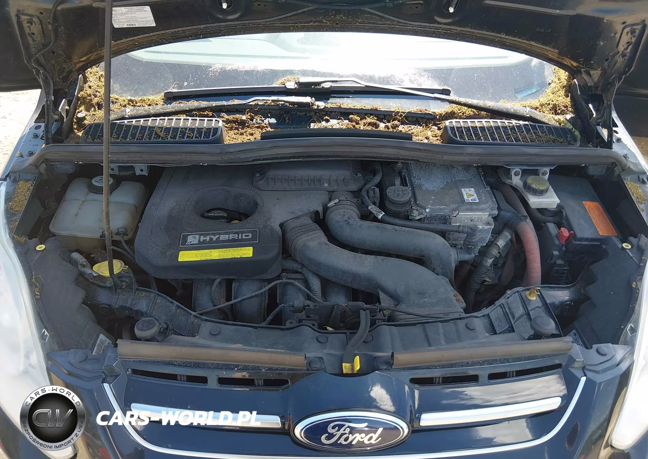 2013 Ford C-Max Hybrid Sel VIN:1FADP5BU6DL512561 - 10