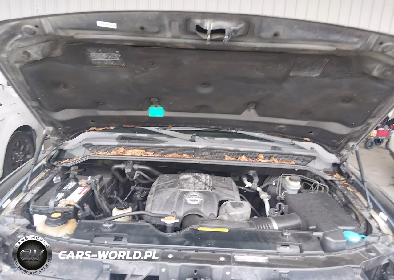 2009 Nissan Titan Se VIN:1N6BA07D49N310079 - 10