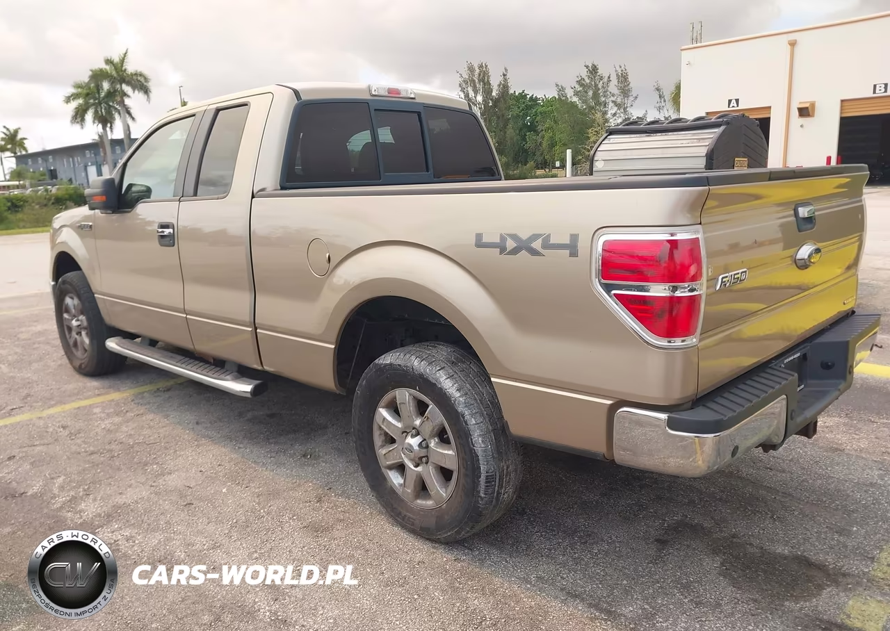 2013 Ford F-150 Xlt VIN:1FTFX1EF5DFB48818 - 3