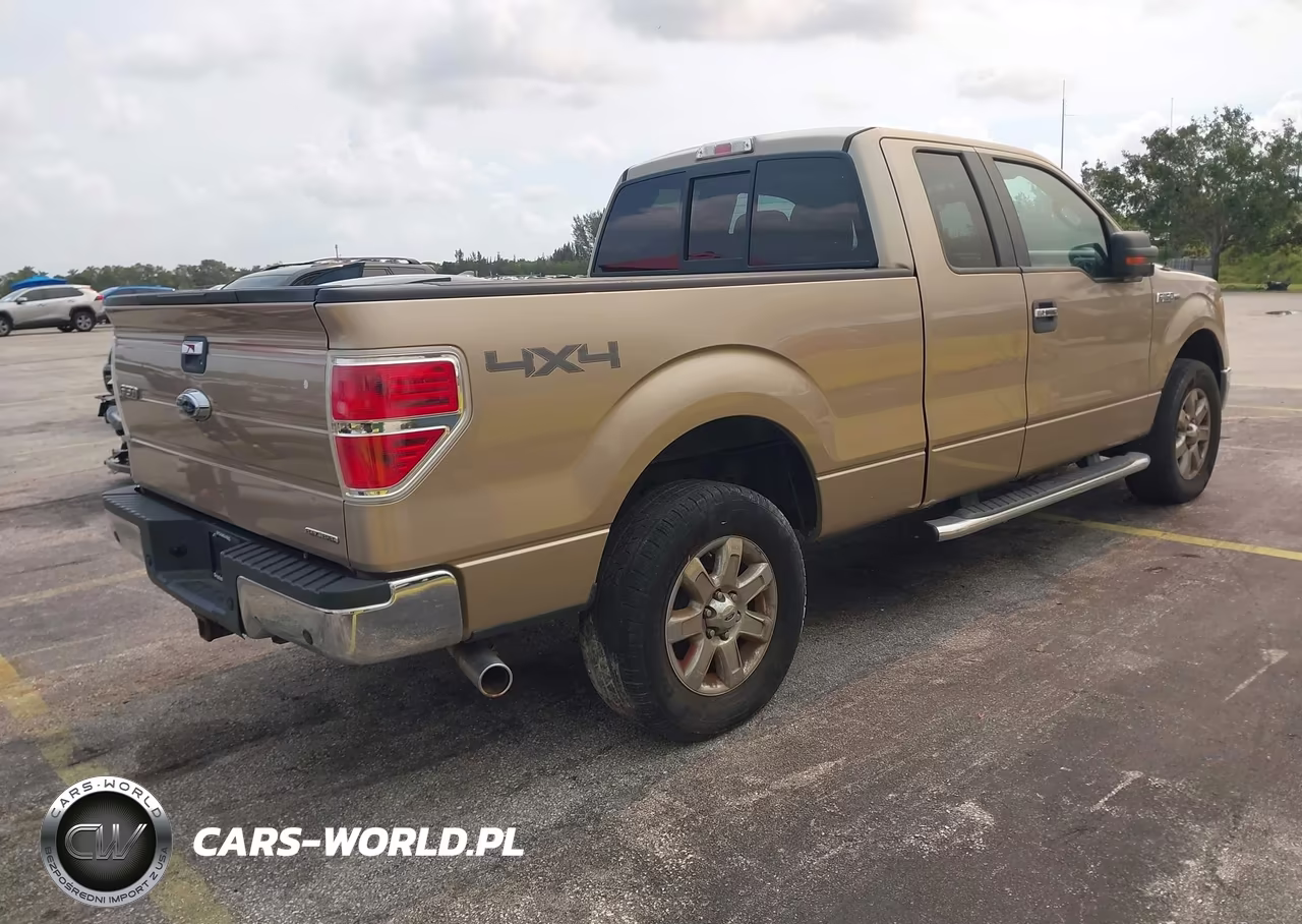 2013 Ford F-150 Xlt VIN:1FTFX1EF5DFB48818 - 4