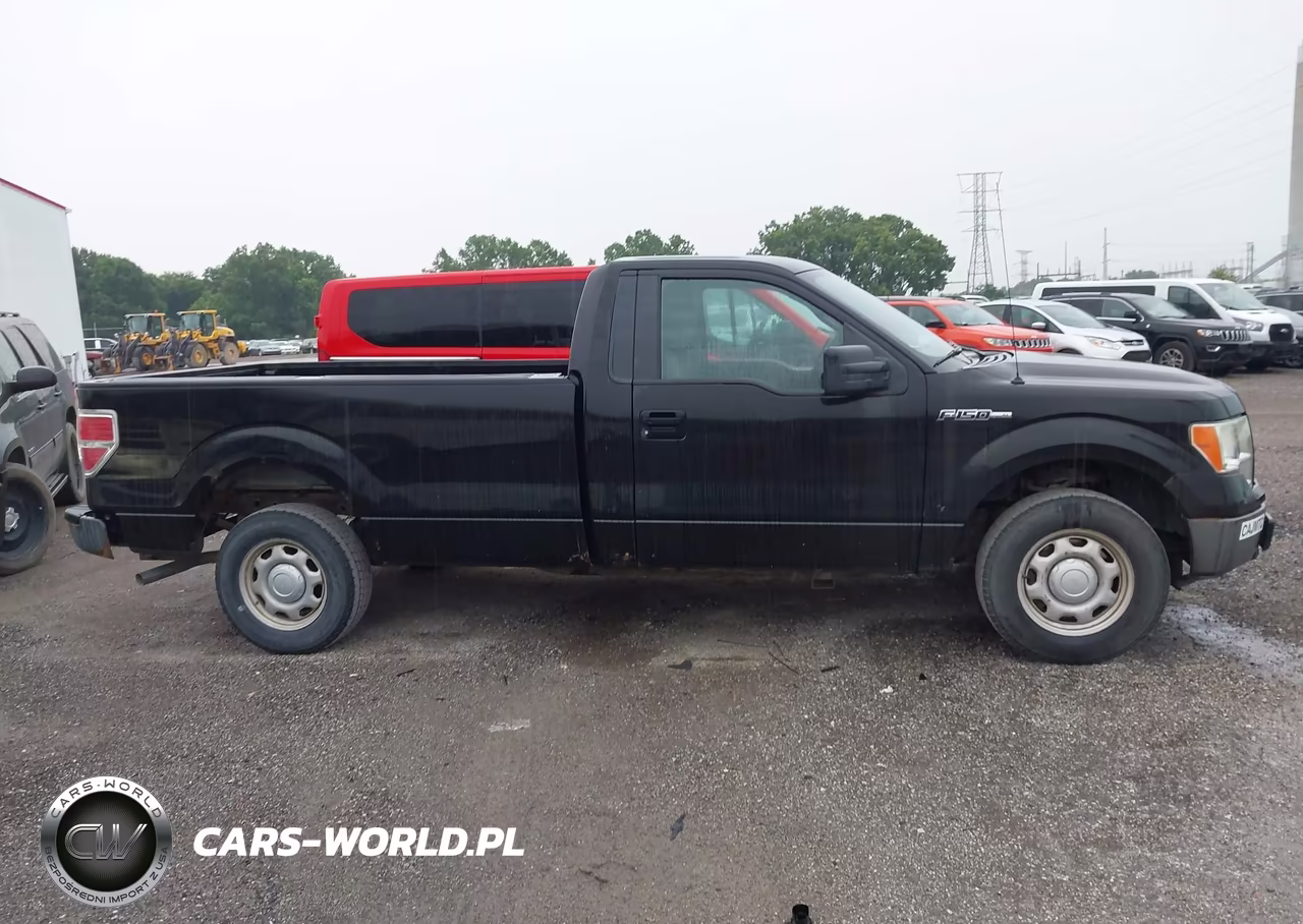 2010 Ford F-150 Stx-Xl-Xl W-Mid-Box Prep-Xlt-Xlt W-Mid-Box Prep VIN:1FTMF1CWXAKA20977 - 13