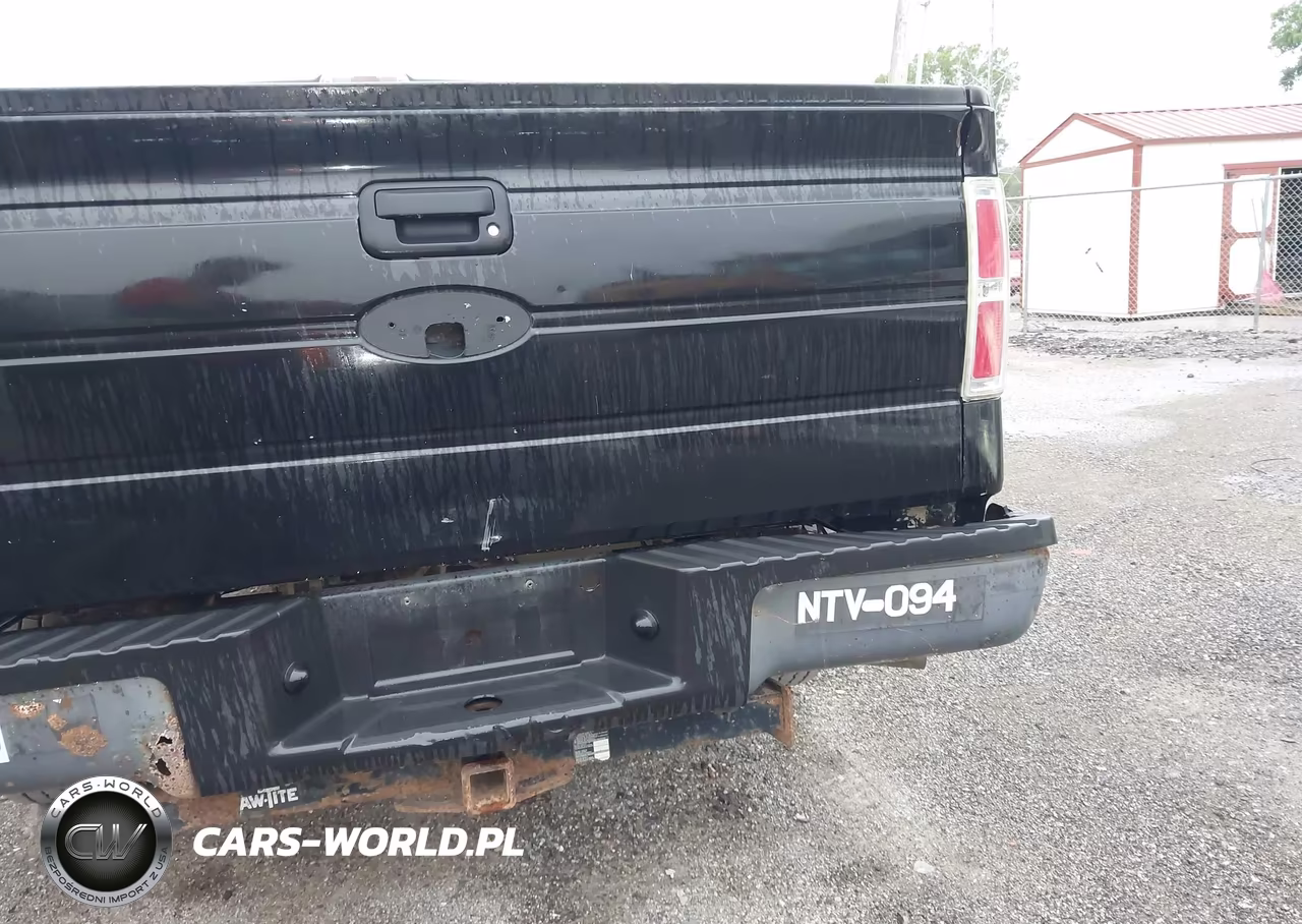 2010 Ford F-150 Stx-Xl-Xl W-Mid-Box Prep-Xlt-Xlt W-Mid-Box Prep VIN:1FTMF1CWXAKA20977 - 6
