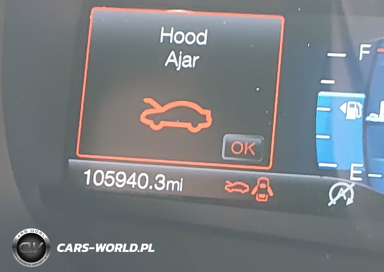 2019 Ford Edge St VIN:2FMPK4AP6KBC16430 - 15