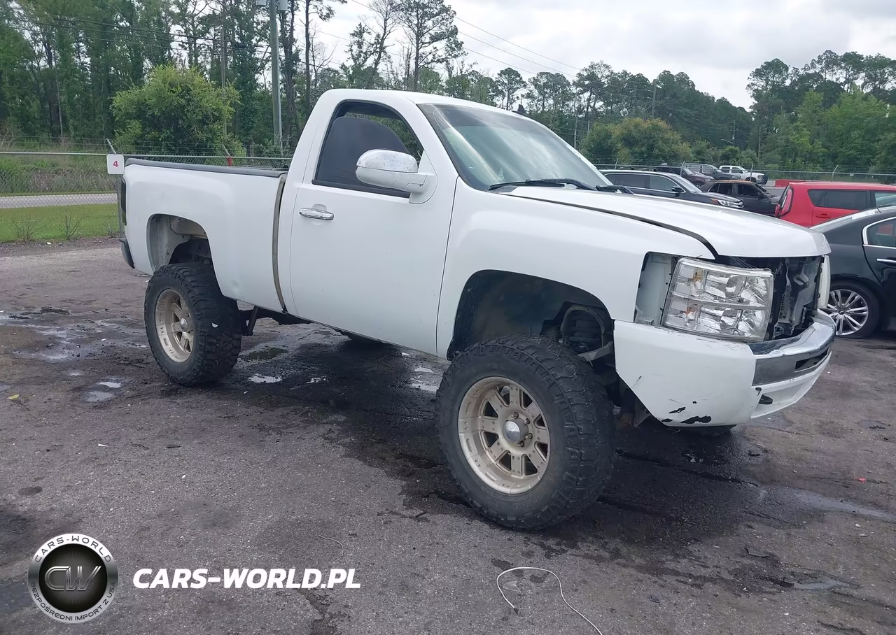2008 Chevrolet Silverado 1500 Work Truck – zdjęcie 1 z 16