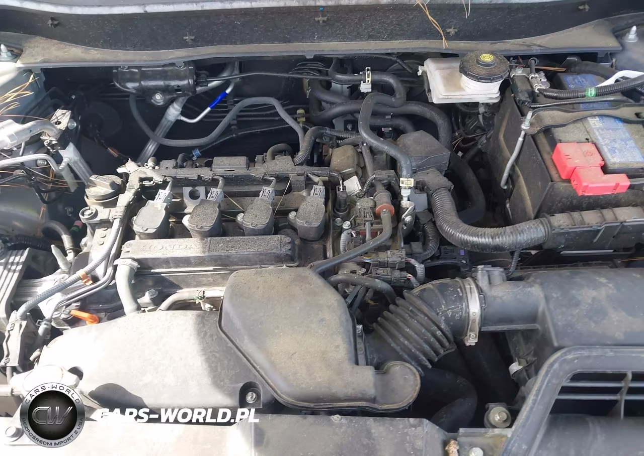 2024 Honda Cr-V Lx 2Wd VIN:2HKRS3H29RH325626 - 10