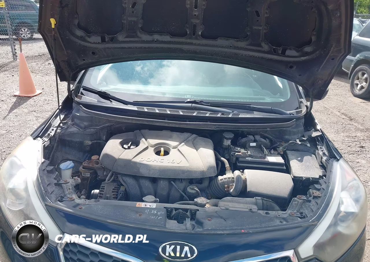 2015 Kia Forte Lx VIN:KNAFK4A64F5268802 - 10