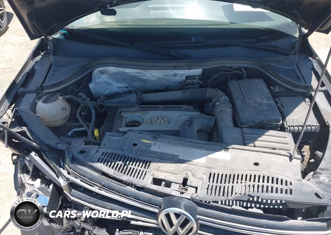 2017 Volkswagen Tiguan 2.0T Wolfsburg Edition VIN:WVGRV7AX6HK011979 - 10